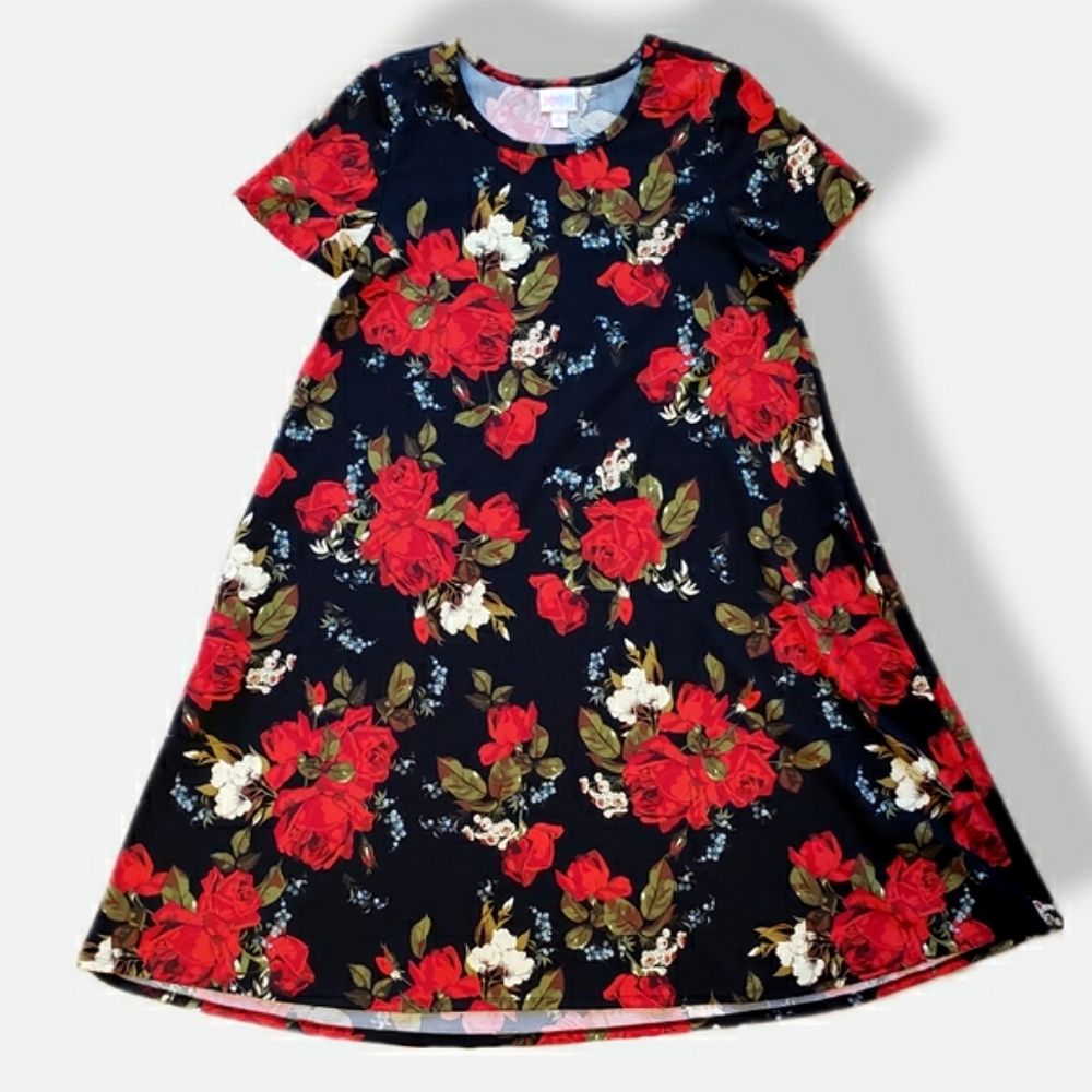 Lularoe Jessie Dress - Small